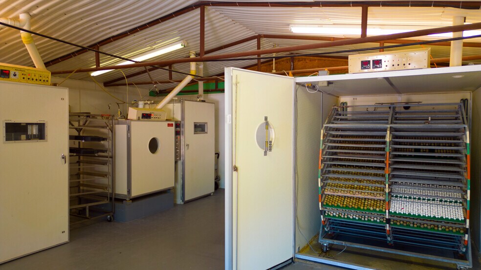 More Photos Of 1200 County Road 108, Santa Anna Specialty For Sale