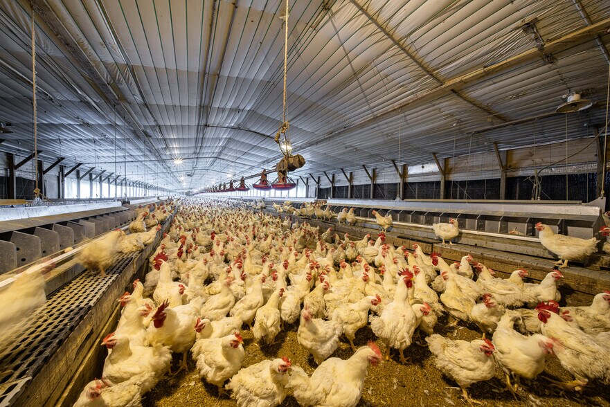 More Photos Of 1291 Myron Hart Rd, Coolidge Land For Sale