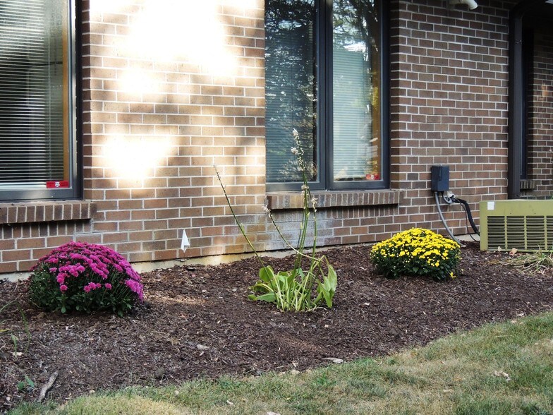 More Photos Of 1437 S Bell School Rd, Rockford Medical For Sale