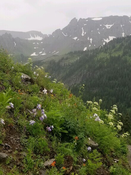 More Photos Of 920 Main St, Ouray Storefront Retail Office For Sale