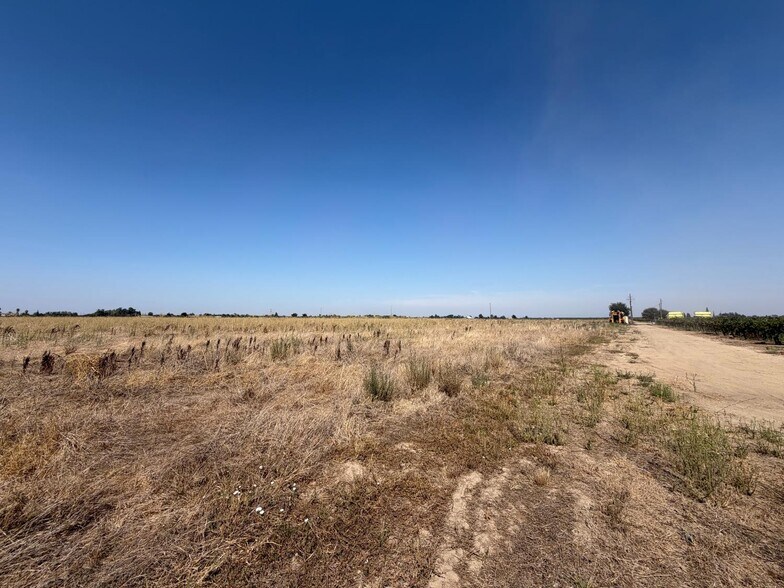 Primary Photo Of 14100 Locust Tree rd, Lodi Land For Sale