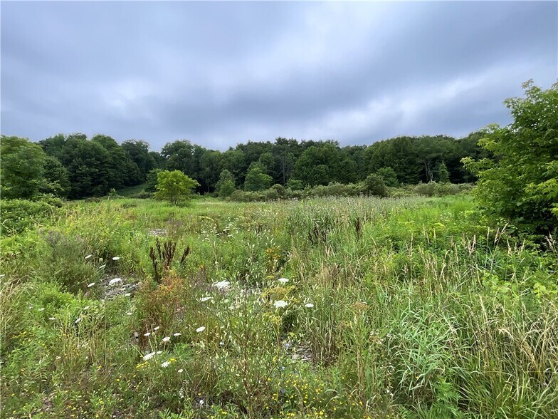 More Photos Of 5277 NY-12, Norwich Land For Sale