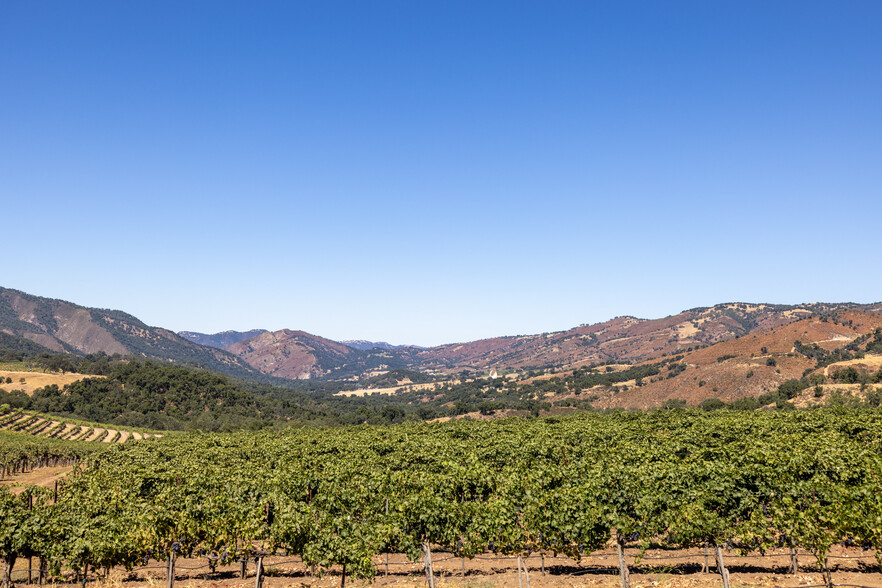 Primary Photo Of 20300 Cachagua Rd, Carmel Valley Winery Vineyard For Sale