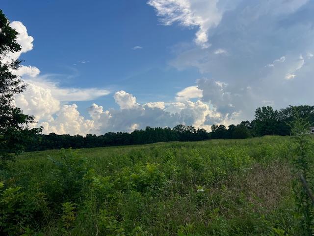 More Photos Of Harrison Street US Hwy 69, Batesville Land For Sale