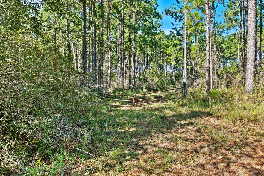 More Photos Of 0 Nokomis Road, Walnut Hill Land For Sale