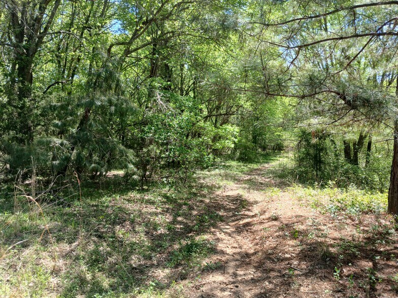 More Photos Of 414000 E 1920 Rd, Antlers Land For Sale