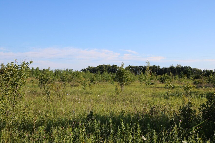 More Photos Of 506 Stempky St, Cheboygan Land For Sale