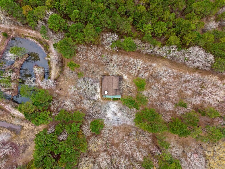 More Photos Of 250 Lee Paul Rd, Hawkinsville Land For Sale