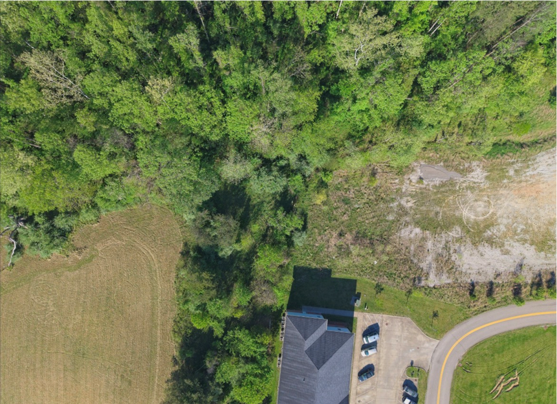 More Photos Of 390 Hurricane Creek Rd, Hurricane Land For Sale