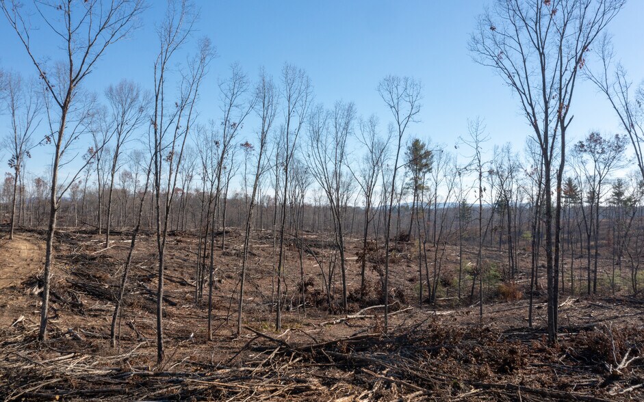 More Photos Of Peavine Rd, Crossville Land For Sale