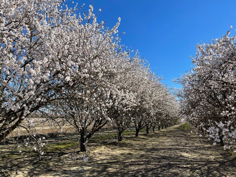 More Photos Of 10277 Road 28 1/2, Madera Land For Sale