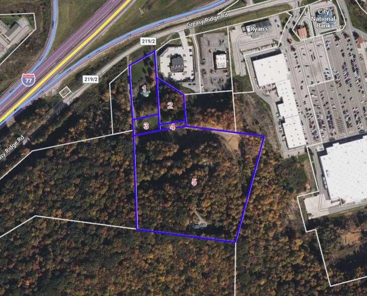 Primary Photo Of 417 Greasy Ridge Rd, Princeton Land For Sale