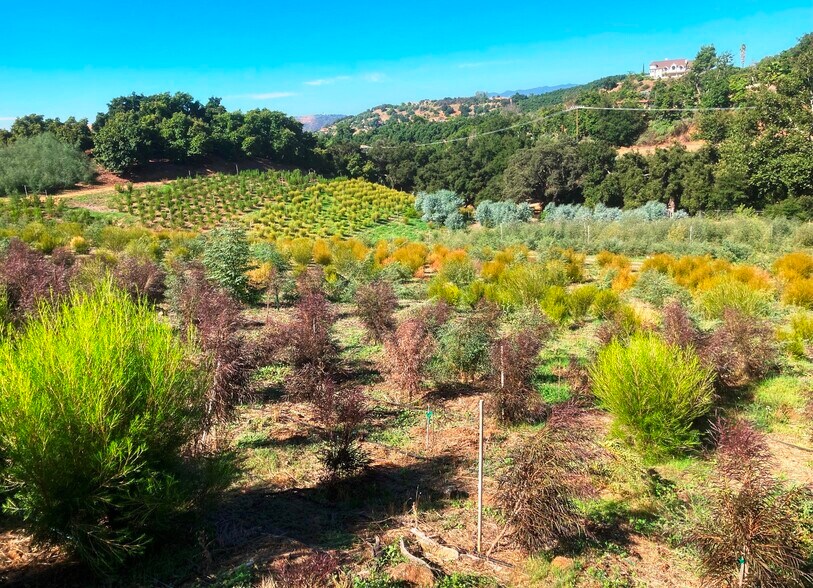 More Photos Of 4 Parcels SANDIA CREEK/DELORME dr, Temecula Land For Sale