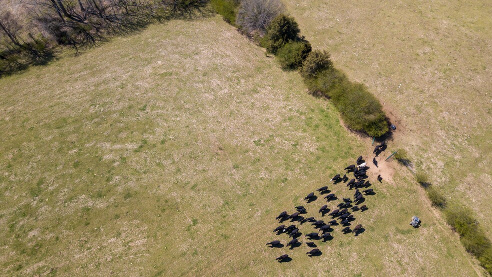 More Photos Of 5690 Rocky Mount Church Rd, Polkton Land For Sale