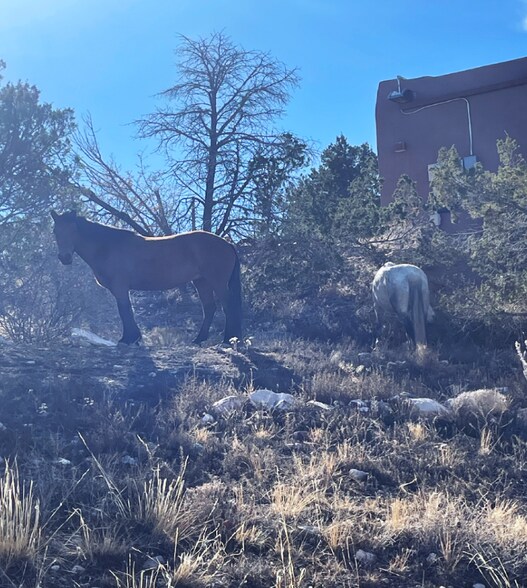 More Photos Of Overlook Lot 5A, Placitas Land For Sale