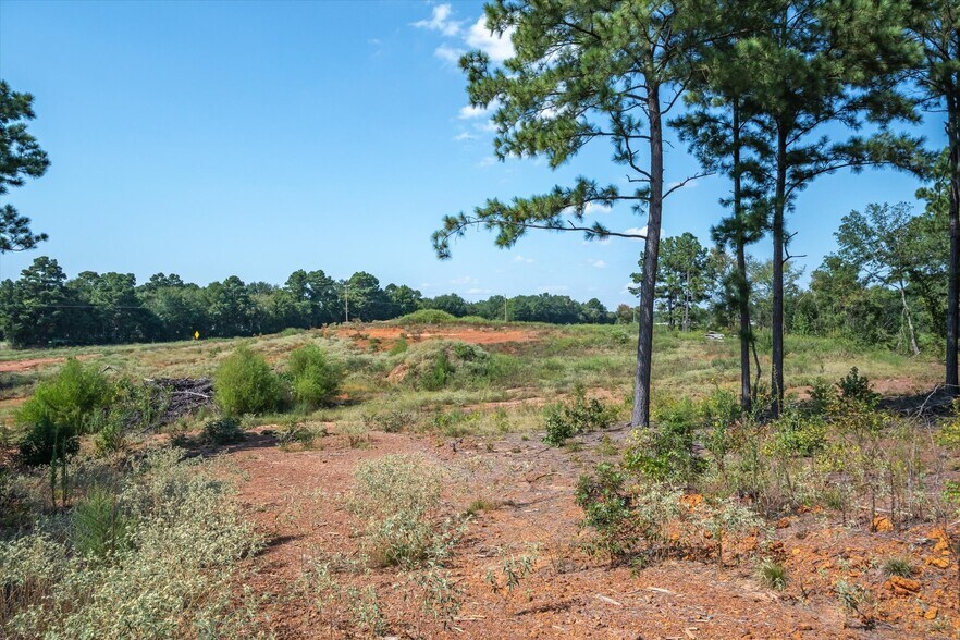 More Photos Of 18021 State Highway 155 S hwy, Flint Land For Sale