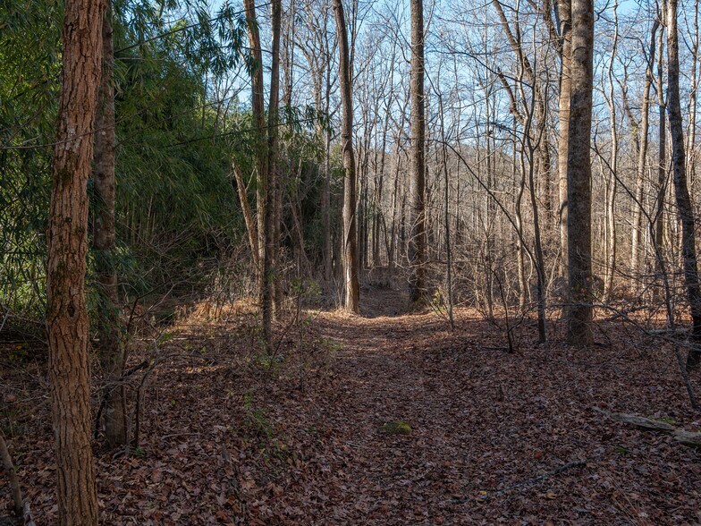 More Photos Of 00 Pittman Rd, Landrum Land For Sale