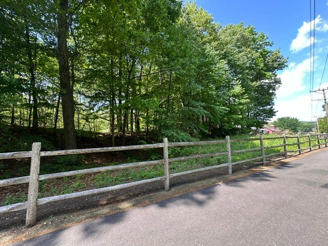 More Photos Of 55 Depot Pl, Unionville Land For Sale
