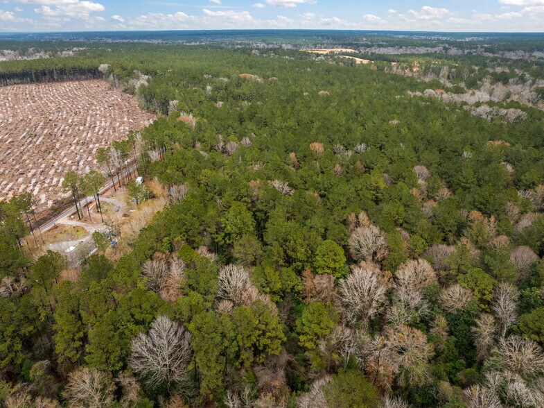 More Photos Of TBD 11 acres Tatoo Rd, Glenmora Land For Sale