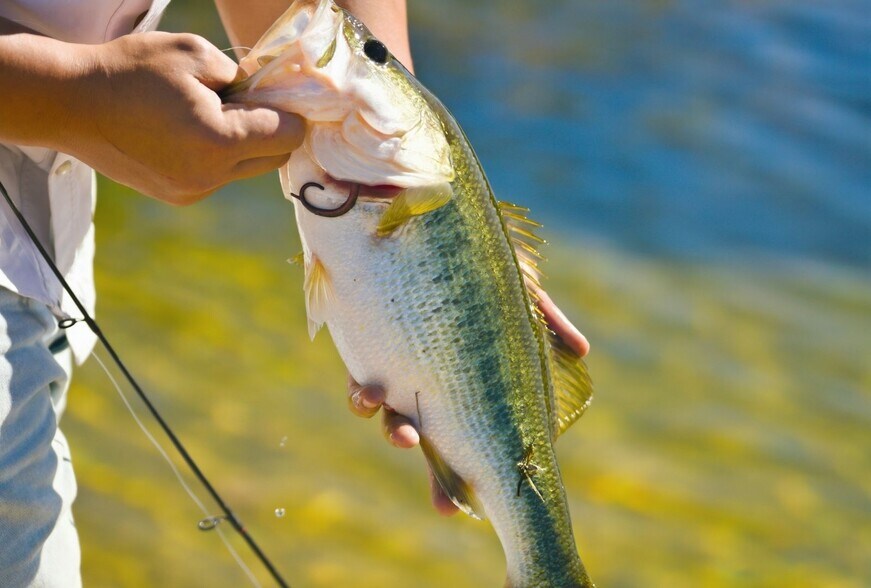 More Photos Of Mustang Creek Ranch, Dripping Springs Land For Sale