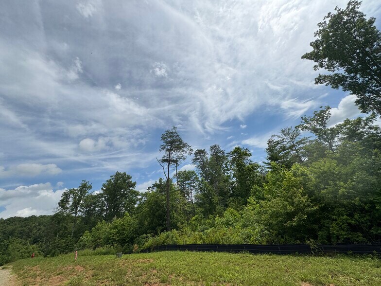 More Photos Of Hwy 515, Morganton Land For Sale