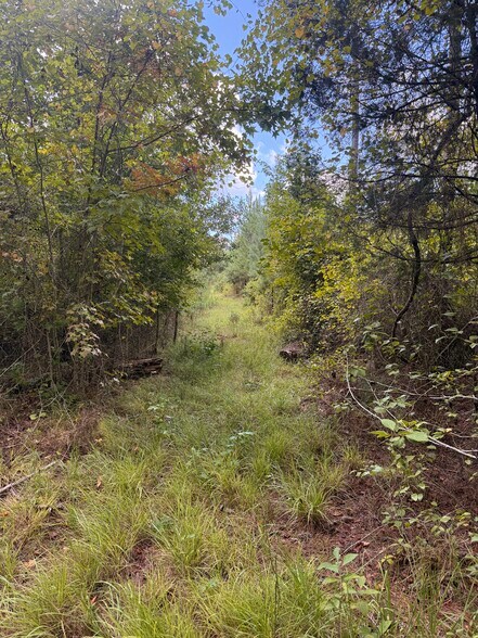 More Photos Of 333 Samuel Dr, Springfield Land For Sale