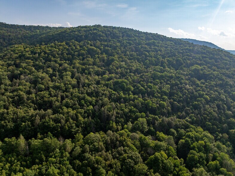 More Photos Of Broadchannel Road, Andes Land For Sale