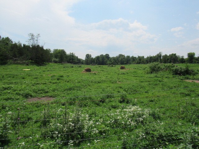 More Photos Of County Rt 19, Livingston Land For Sale