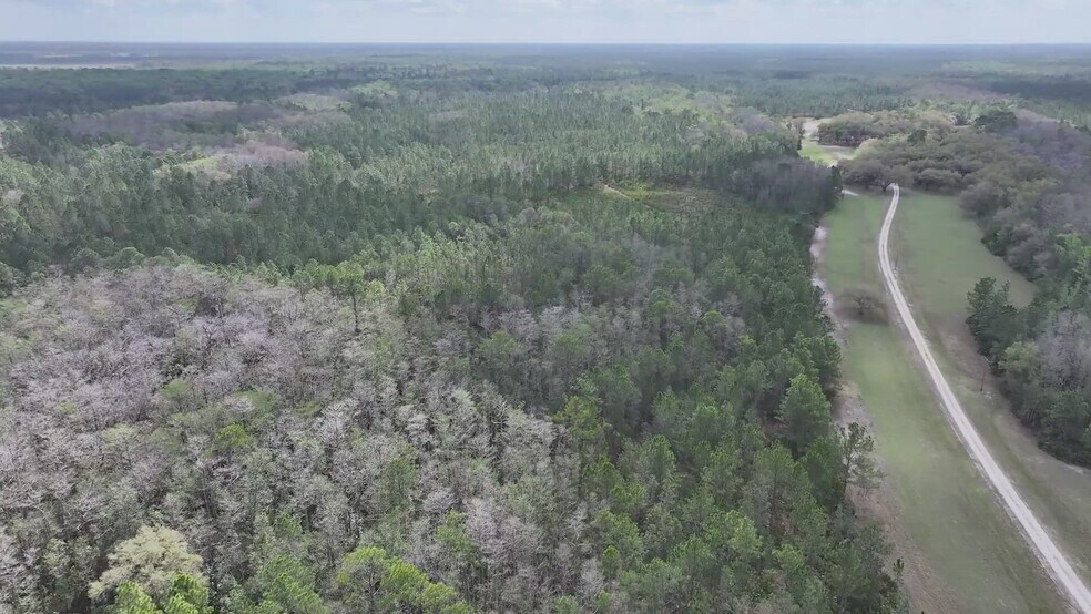 Primary Photo Of 1625 State Route 415, Osteen Land For Sale