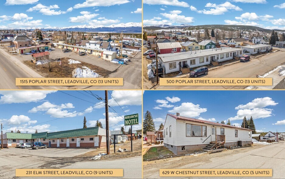 Primary Photo Of , Leadville Multifamily For Sale