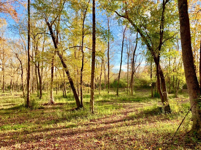 More Photos Of 1882 Barber Creek Rd, Statham Land For Sale