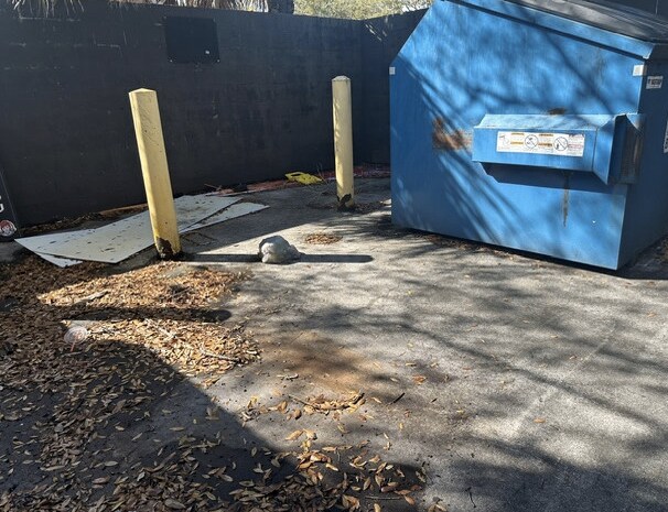 More Photos Of 11383 W Palmetto Park Dr, Boca Raton Fast Food For Lease