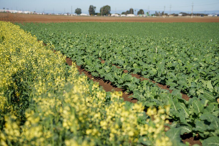 More Photos Of Somavia Rd, Salinas Land For Sale
