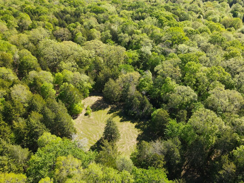 More Photos Of 3842 FM 2029, Telephone Land For Sale