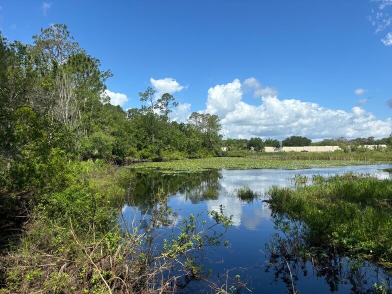 More Photos Of 28651 Tupper Rd, Wesley Chapel Land For Sale