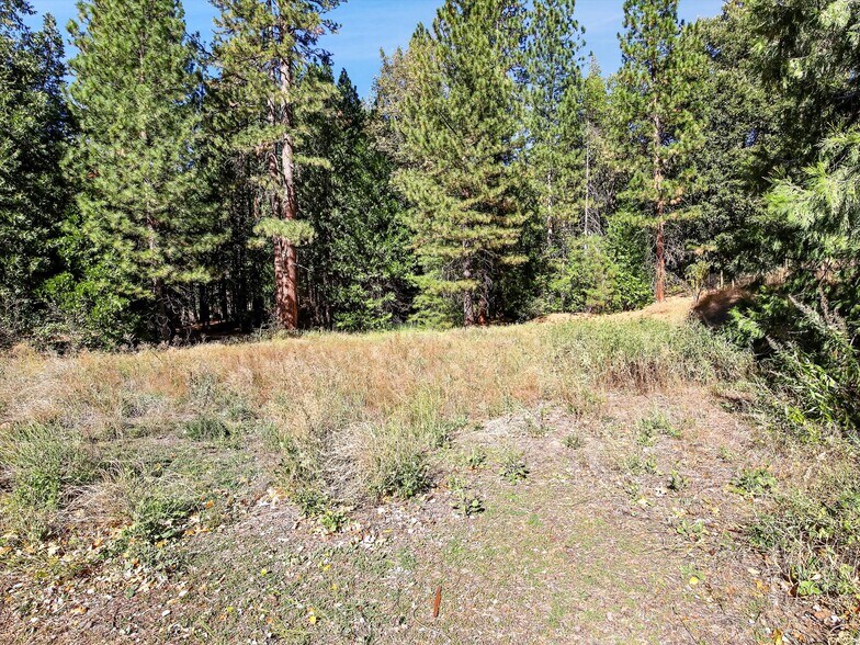 More Photos Of 13651 US Hwy 50, Kyburz Land For Sale