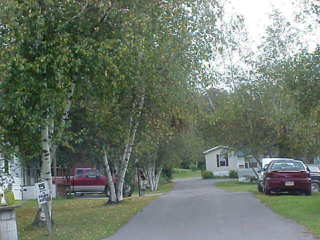 More Photos Of 383 Church Street Ext, Corsica Trailer Camper Park For Sale