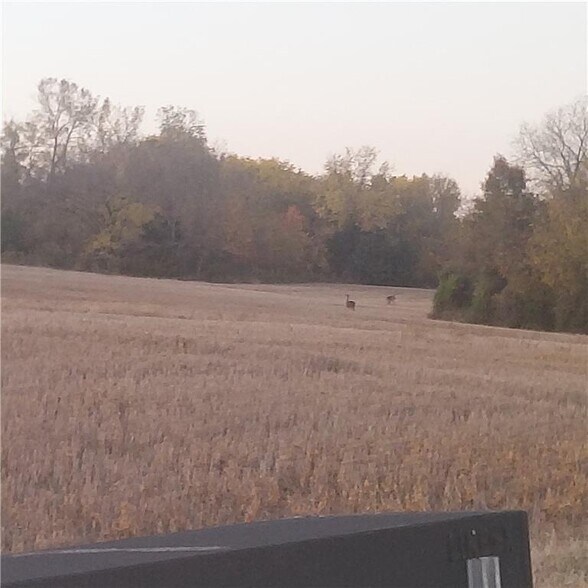 More Photos Of E 315th St, Drexel Land For Sale