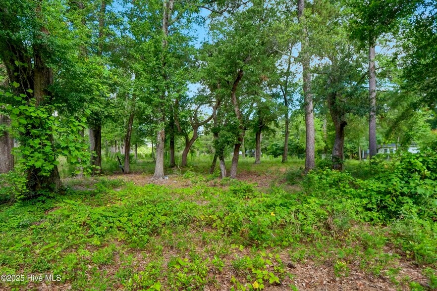 More Photos Of 9641 River Rd, Wilmington Trailer Camper Park For Sale