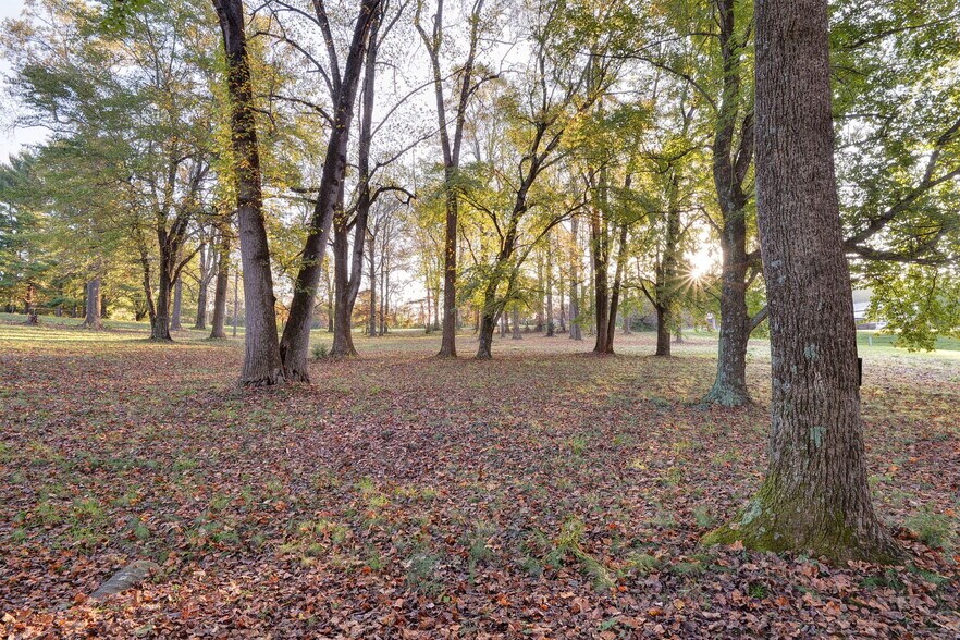 More Photos Of 16380 Forest Rd, Forest Land For Sale