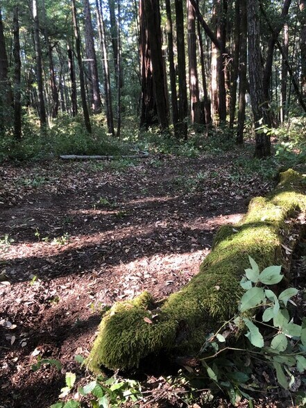 More Photos Of 00 Back Road, La Honda Land For Sale