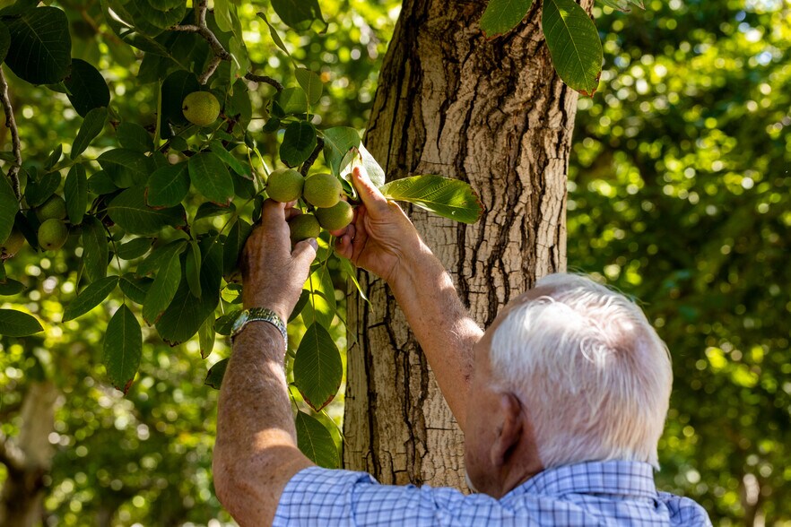 More Photos Of 1582 CA-45, Grimes Land For Sale