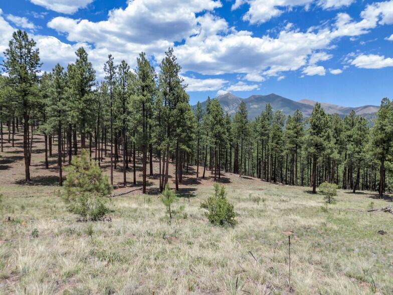 More Photos Of 2251 Kramer St, Flagstaff Land For Sale