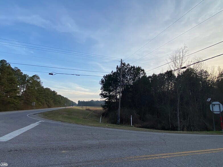 Primary Photo Of Highway 145, Columbiana Land For Sale
