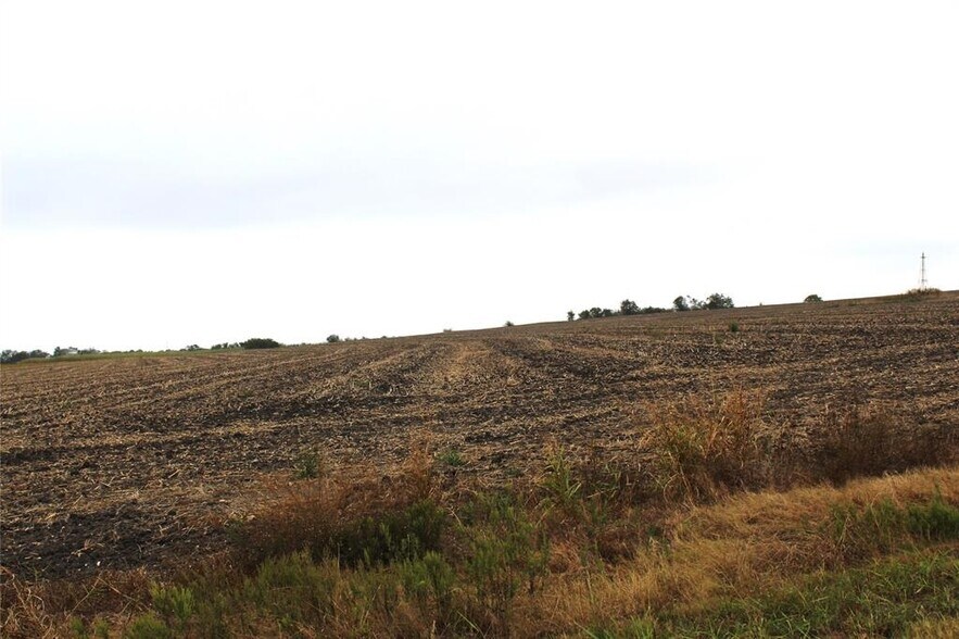 More Photos Of CR 420 Rds, Thorndale Land For Sale