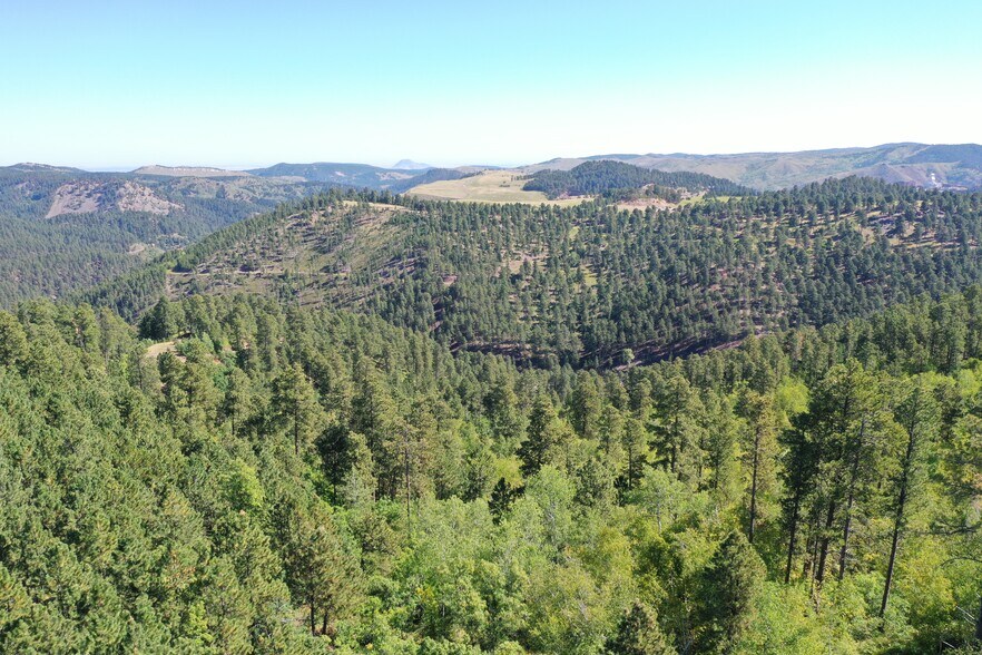 More Photos Of TBD Cutting Mine Rd., Lead Land For Sale