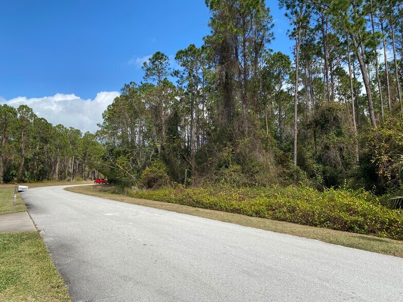 More Photos Of 31004 Secretariat Trl, Leesburg Land For Sale