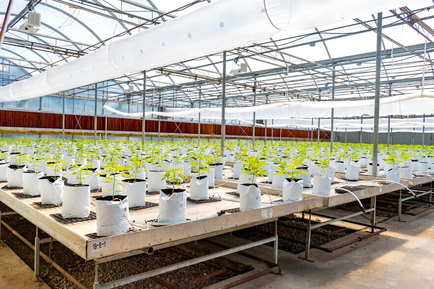 More Photos Of 609-621 E Maple Ave, Newark Light Manufacturing For Sale