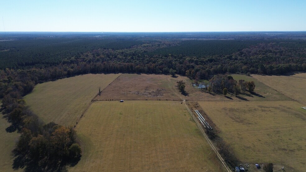 More Photos Of 269 Pea Ridge Rd, Montrose Land For Sale