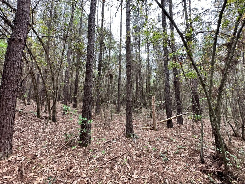 More Photos Of Eufaula Land in Barbour County, Eufaula Land For Sale
